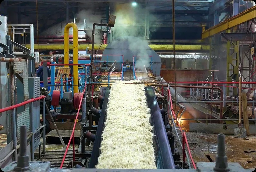 Fatima Sugar Mill